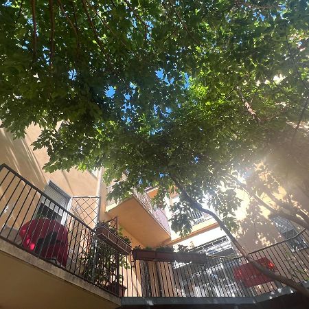 Casa Roma Rooms& Apartmens 파도바 외부 사진