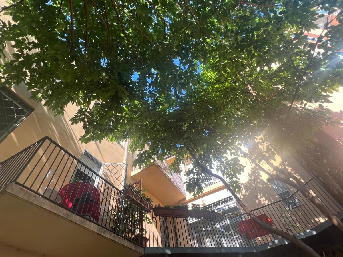 Casa Roma Rooms& Apartmens 파도바 외부 사진